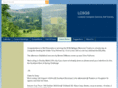 lcsgs.com