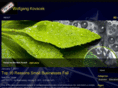 wolfgangkovacek.com