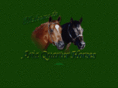 ariaquarterhorses.com