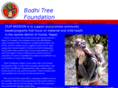 bodhitreefoundation.org