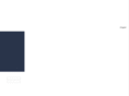 bolon-valve.net