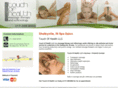 touchofhealthllc.net