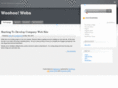 woohoowebs.com