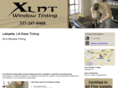 xlntwindowtinting.com