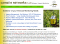 camalienetworks.com