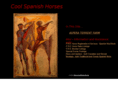 coolspanishhorses.com