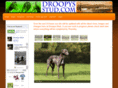 droopys-stud.com