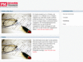 gehirntrainer.com