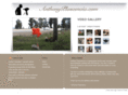 anthonyplascencia.com