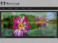 novivus.com