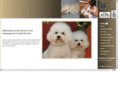 bichonfrise.ch