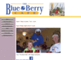 blueberrycafe.net