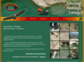 canyoning-sierra-de-guara.com