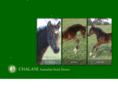 chalani.net