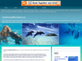 goswimmingwithdolphins.com