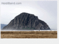 heidibaird.com