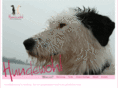 hundewohl.com