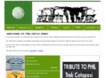 thecelticshirt.co.uk