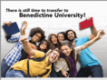transfertobenu.net
