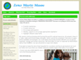 zerowastemann.org