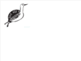 birdallyx.net