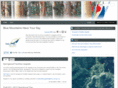 bluemountainshaveyoursay.com.au