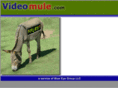 videomule.com