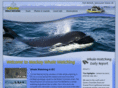 whaletime.com