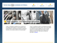 youngitc.com