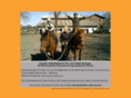 therapeutisches-reiten-sh.com