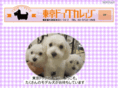 tokyo-dogcollege.com