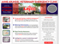 aavec.com