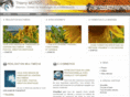 motot.com