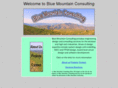 blue-mountain-consulting.com