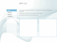 wityllc.com