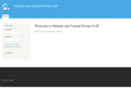 orlando-voip.net