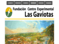 centrolasgaviotas.org