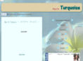 hopeart-turquoise.com