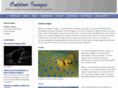 lindenlaub.net