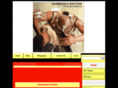 shabalalarhythm.com