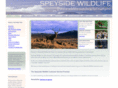 speysidewildlife.biz