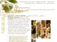 vinandeddiesrestaurant.com