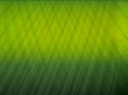 casadecampolurin.com