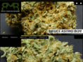 rmrmmj.com