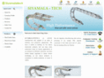 steelcabledragchain.com