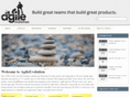agileevolution.com