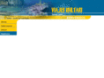 ibiltari.com