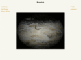 romich.com