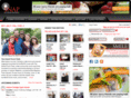 snapkitchenerwaterloo.com