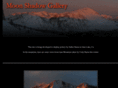 moonshadowgallery.com